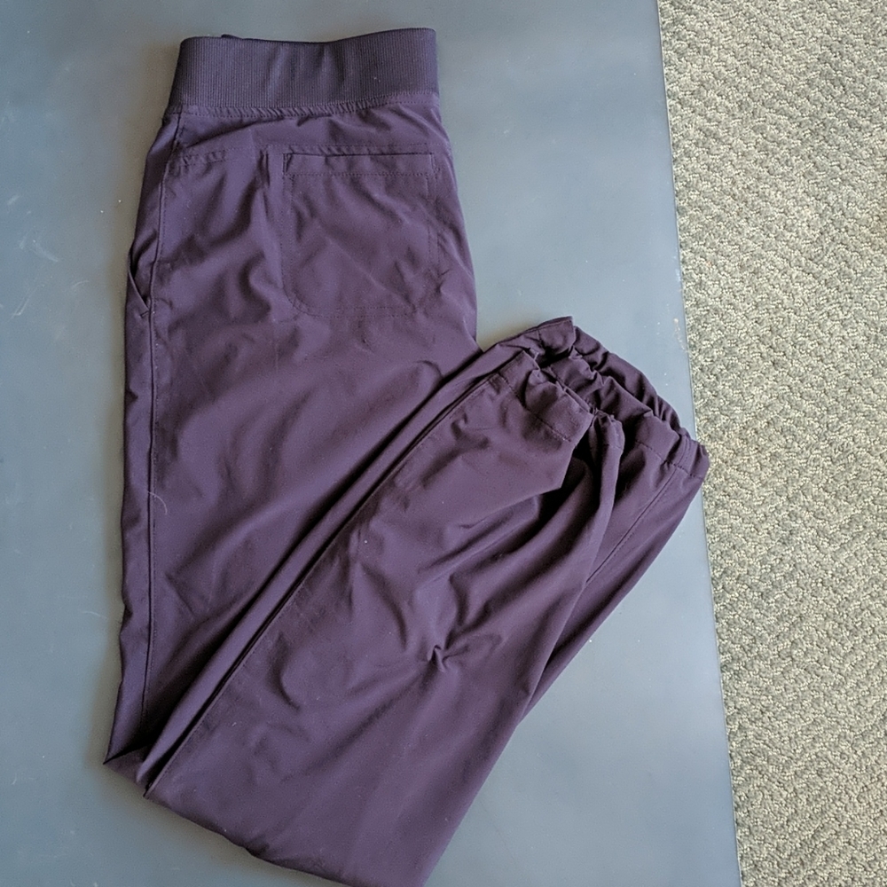 Athleta lined joggers, navy and regular length.